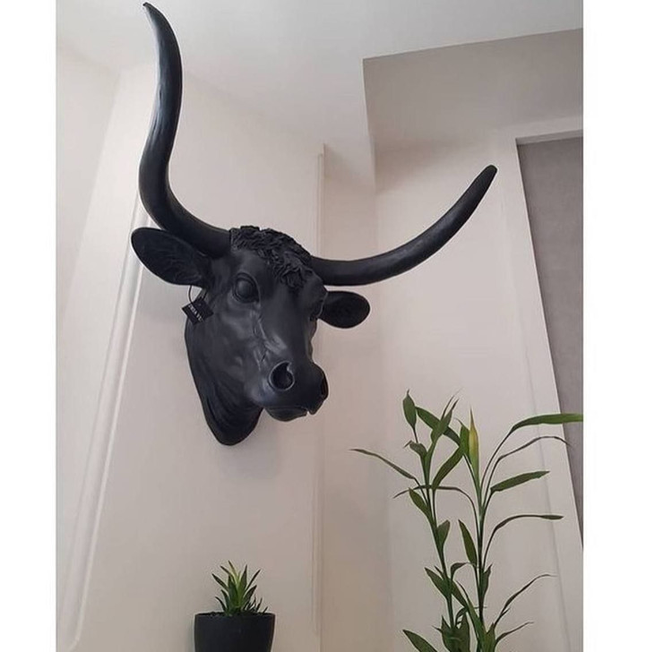 سردیس و دیوارکوب گاو
